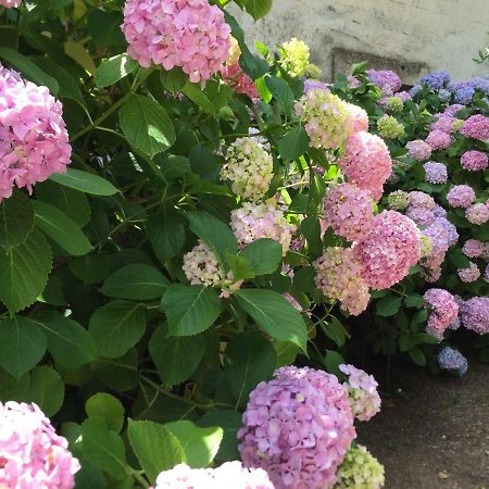 La Tour-sur-Orb Domaine De Brousson B&B 외부 사진